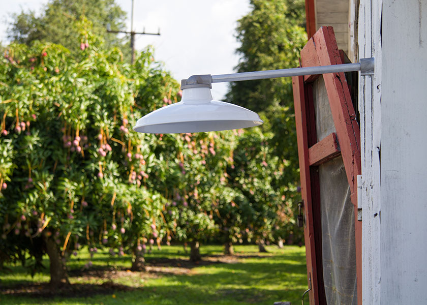 maritime yard light outdoor barn light