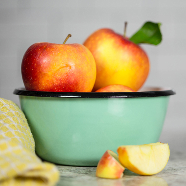 porcelain enamel bowl