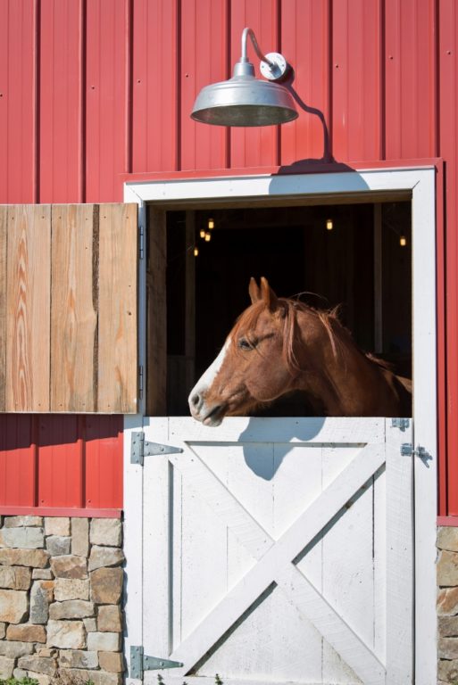 gooseneck barn lights