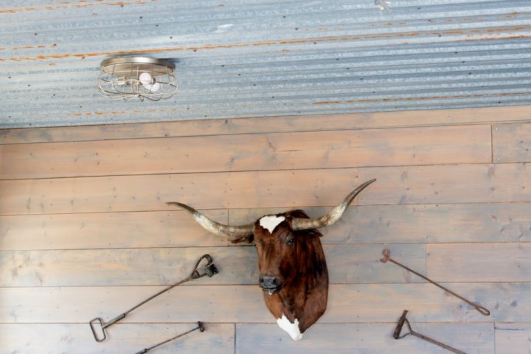 flush mount barn light