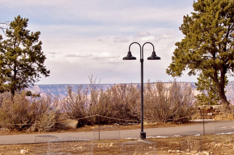 Dark sky store outdoor post lamp