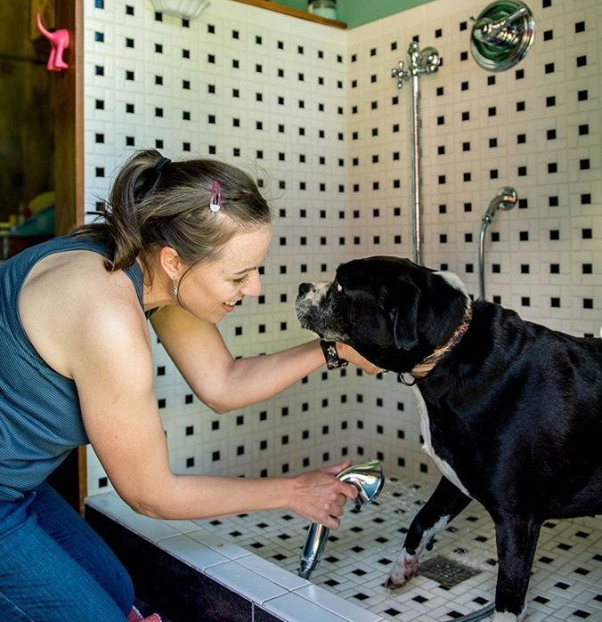 dog wash station