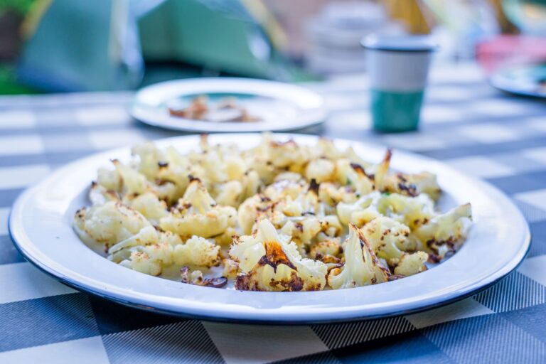 porcelain enamel dinnerware