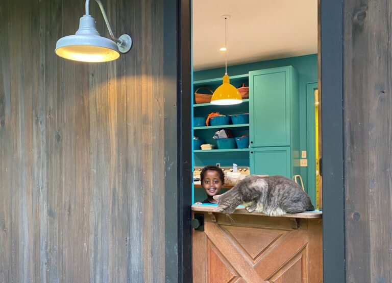 gooseneck barn light