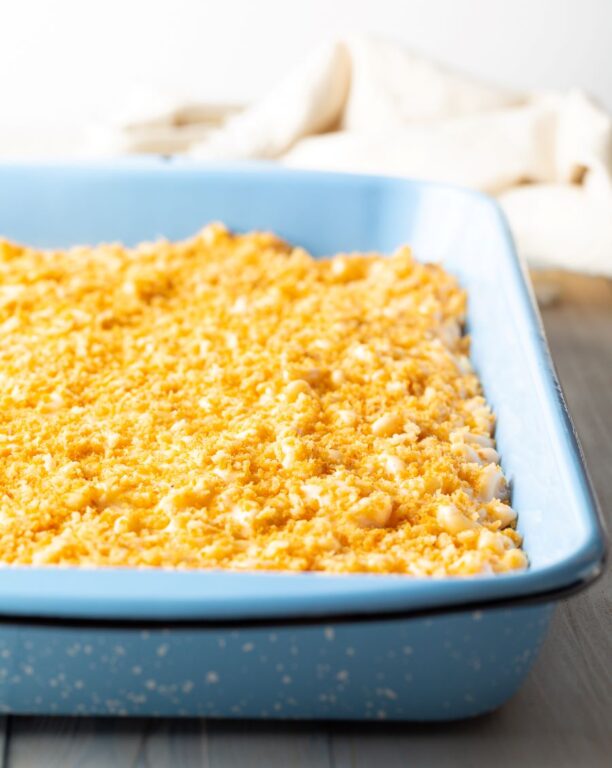 porcelain enamel bakeware