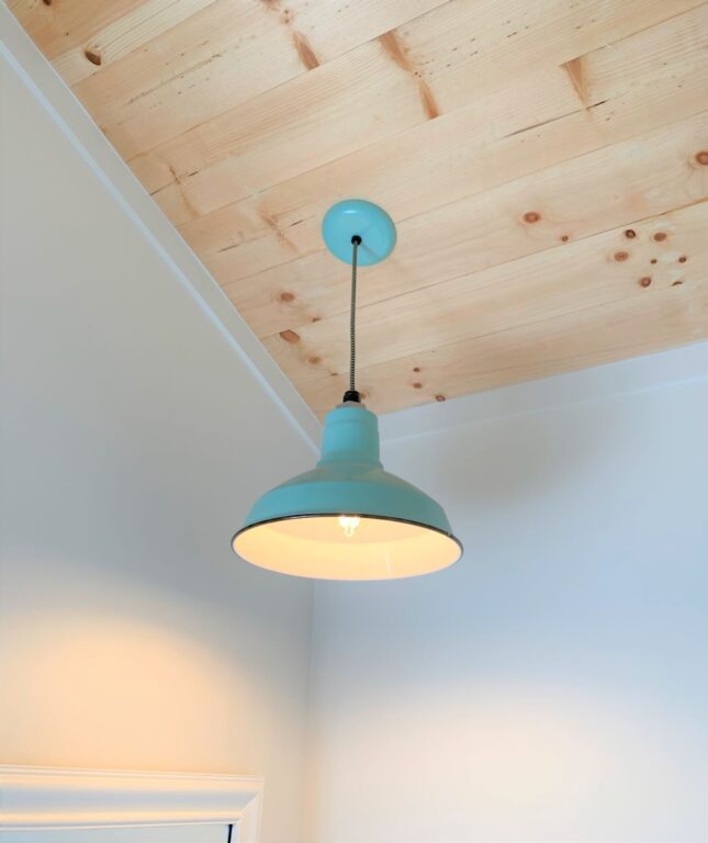 Dino pendant Light 12in 355 Jadite CSBG