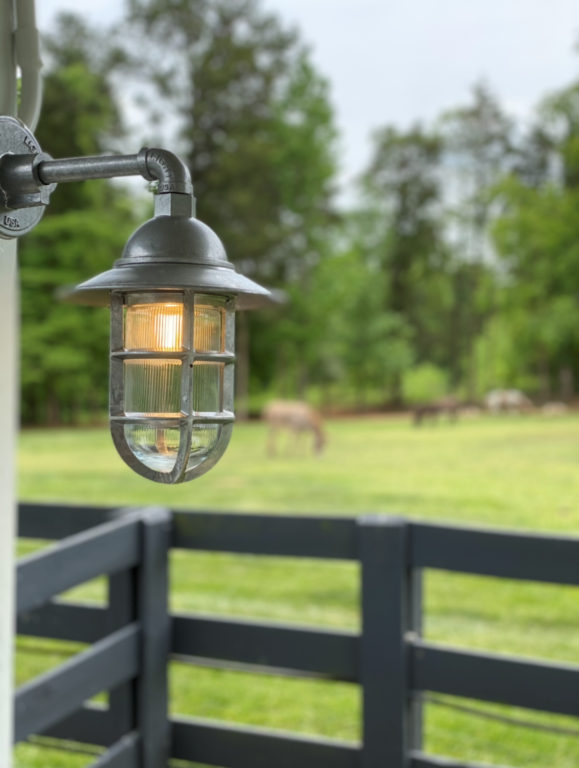 Industrial Guard Sconce 975 Galvanized Flared TGG RibbedGlass6