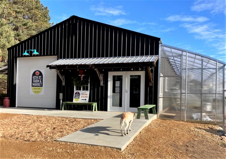 IMG 0007 commercial exterior lighting Original Dual Arm Sign Light 14in 390 Teal 12in arm