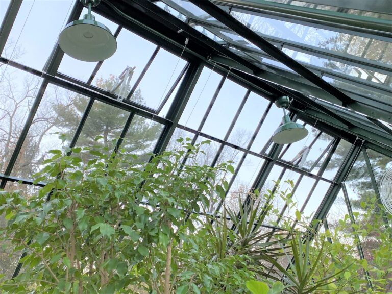 IMG 0207 residential interior lighting greenhouse Dino LED Stem Mount 14in 350 Vintage Green 6in stem Flat Lens