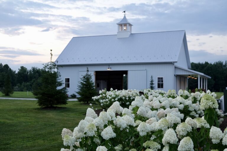 image1 1