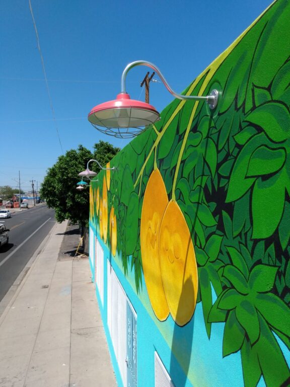 IMG 20220421 133806037 commercial exterior lighting mural Marathon Gooseneck 16in 470 Watermelon 790 Lavendar 390 Teal G22arm 980 Brushed Aluminum Wire Cage