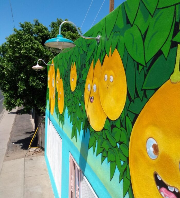 IMG 20220421 133850114 commercial exterior lighting mural Marathon Gooseneck 16in 390 Teal 480 Blush Pink G22arm 980 Brushed Aluminum Wire Cage