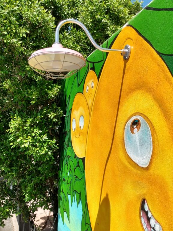 IMG 20220421 133945785 HDR commercial exterior lighting mural Marathon Gooseneck 16in 480 Blush Pink G22arm 980 Brushed Aluminum Wire Cage