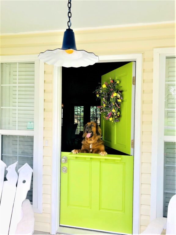 FullSizeR 20220724 145657 residential exterior lighting porch dutch door dog Seaside Chain Hung Pendant 16in 750 Cobalt Blue CSUW Blue White Cloth Cord