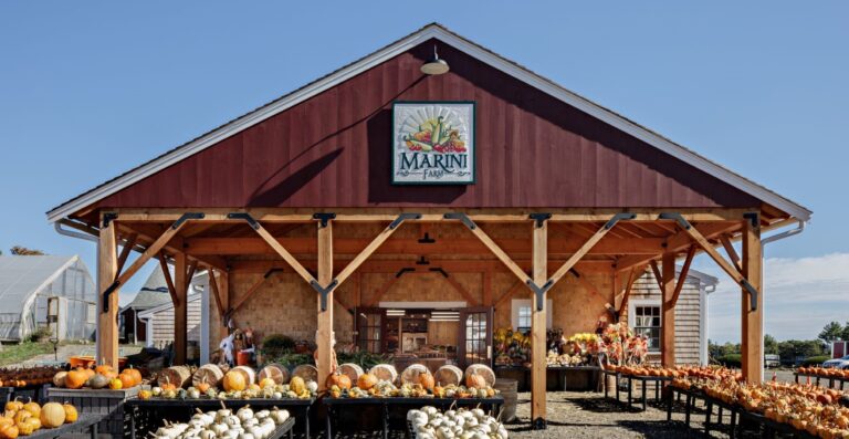 Windhill Marini Fall22 16 commercial exterior lighting farmstand fall pumpkins Original Warehouse Gooseneck 20in 100 Black G22arm 1