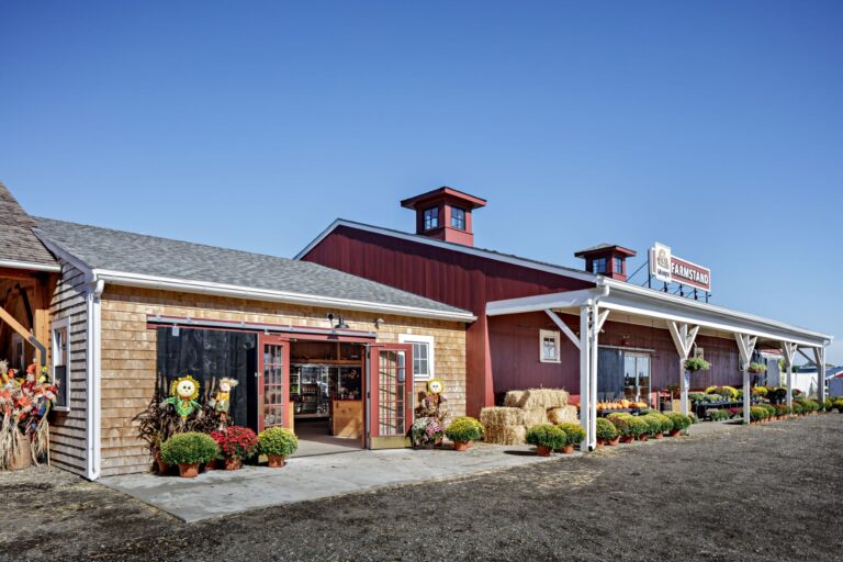 Windhill Marini Fall22 17