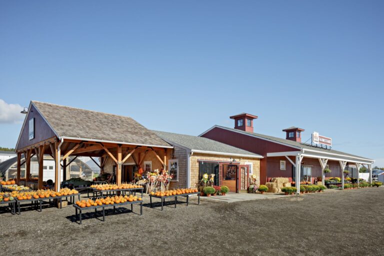 Windhill Marini Fall22 19