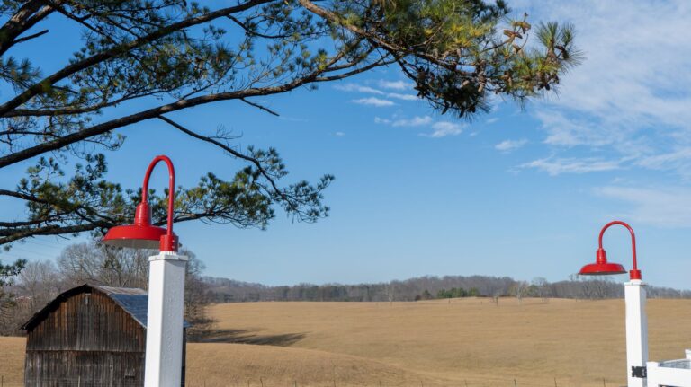 DSC00051 Edit Residential Exterior Lighting barn Original LED Single Post Mount 16in 400 Barn Red 200 White Flat Lens