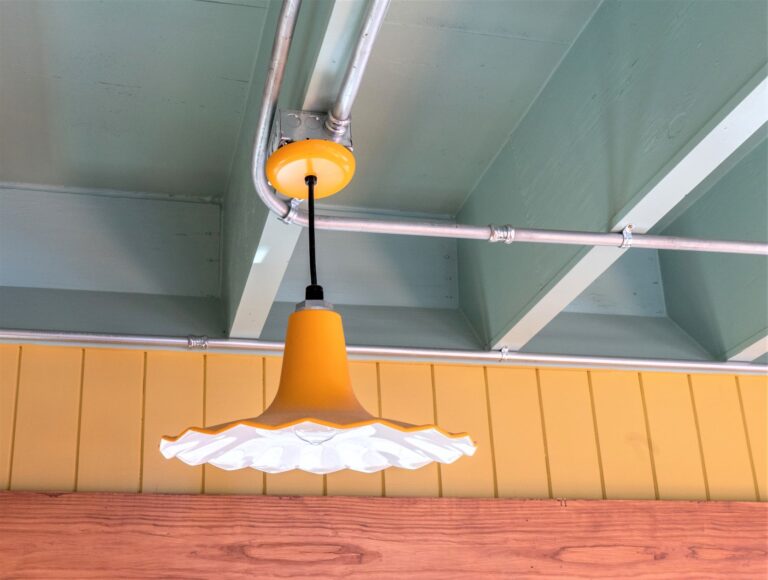 DSC00250 commercial interior lighting Seaside Pendant 16in 570 Sunflower SBK