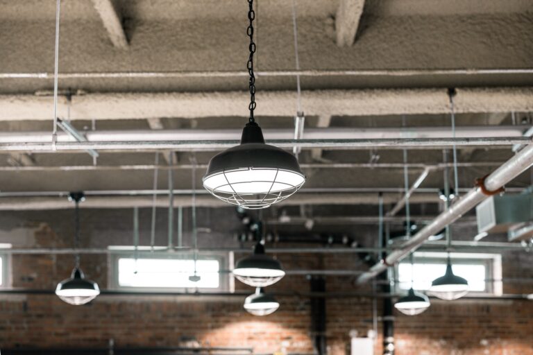 38 commercial interior lighting on Avalon LED Chain Hung Pendant 16in 100 Black SBK Wire Cage Domed Lens