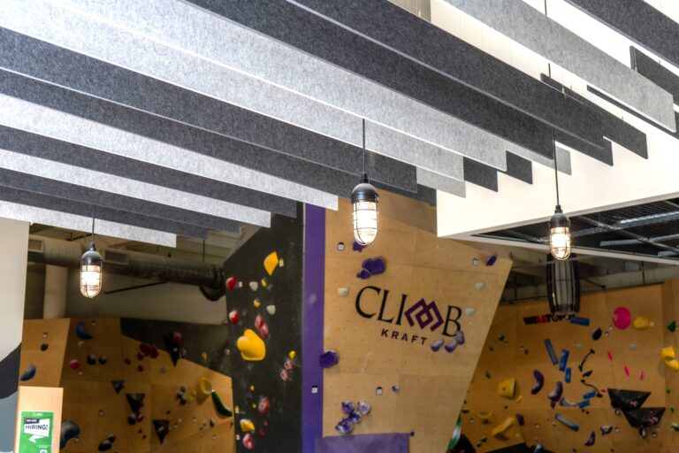 DSC07565 commercial interior lighting on climbing gym Industrial Guard Pendant 100 Black SBK Wire Guard Ribbed Glass